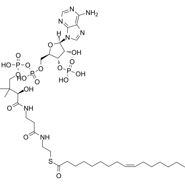 Palmitoleoyl-CoA 18198-76-0
